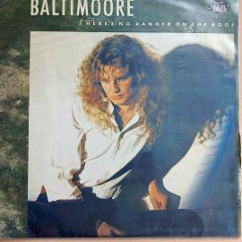 Виниловая пластинка Baltimoore - There's No Danger On The Roof