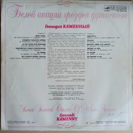 Картинка 2