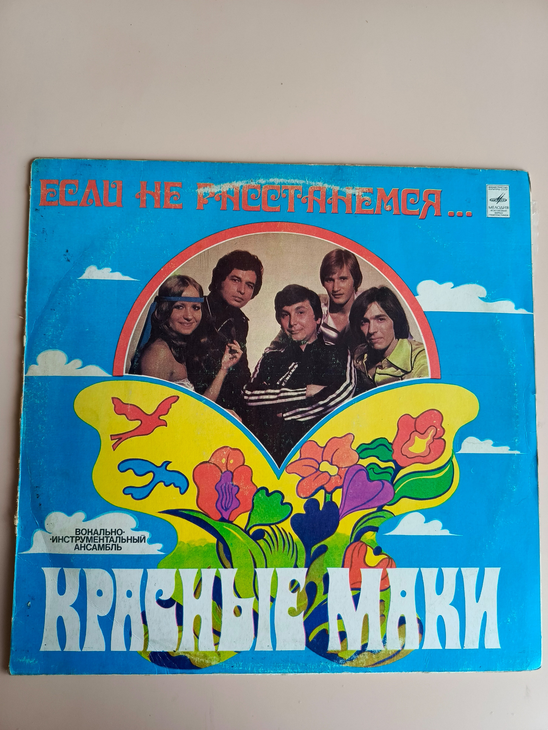 Картинка 1