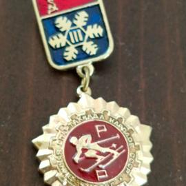 Знак СССР. Зимняя спартакиада народов СССР Лыжи
