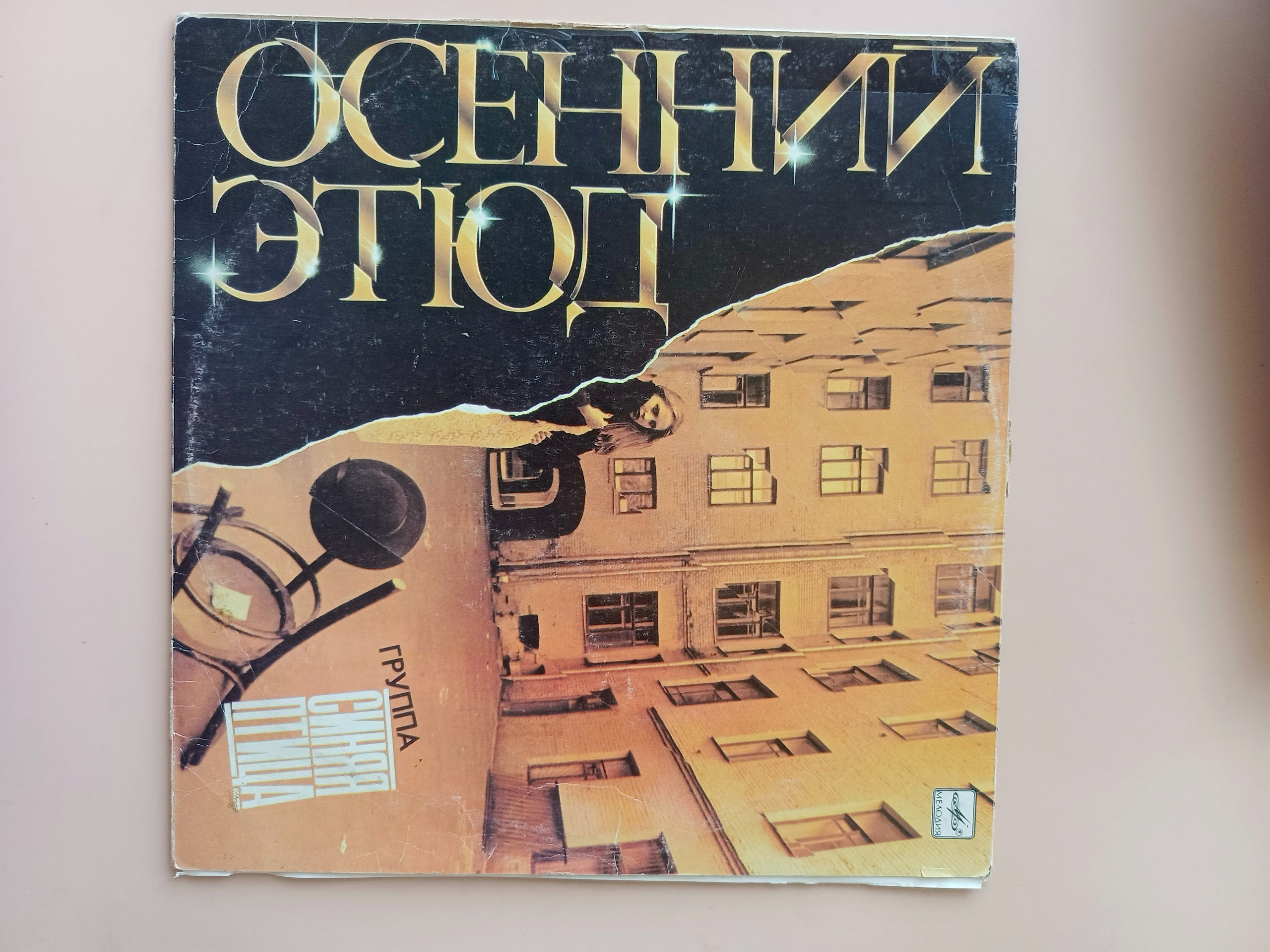 Картинка 1