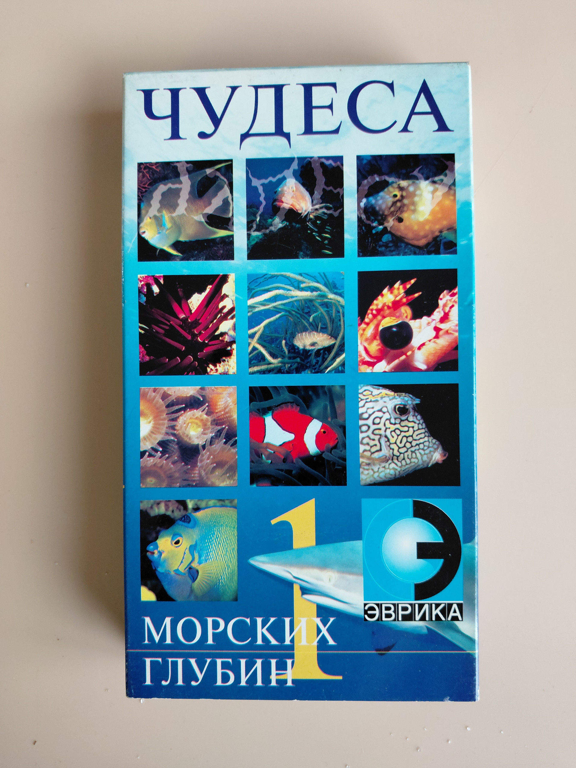 Картинка 1