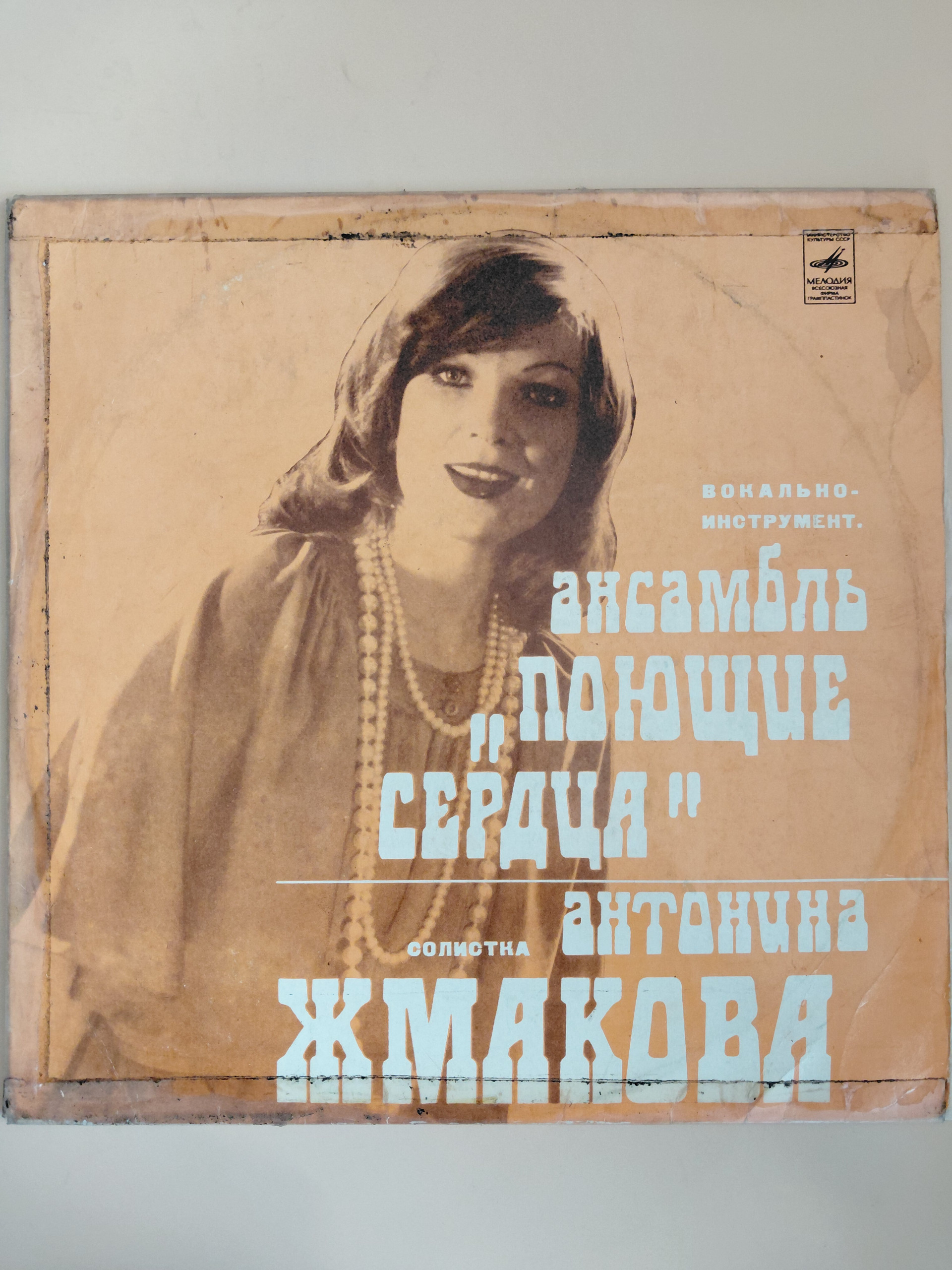Картинка 1