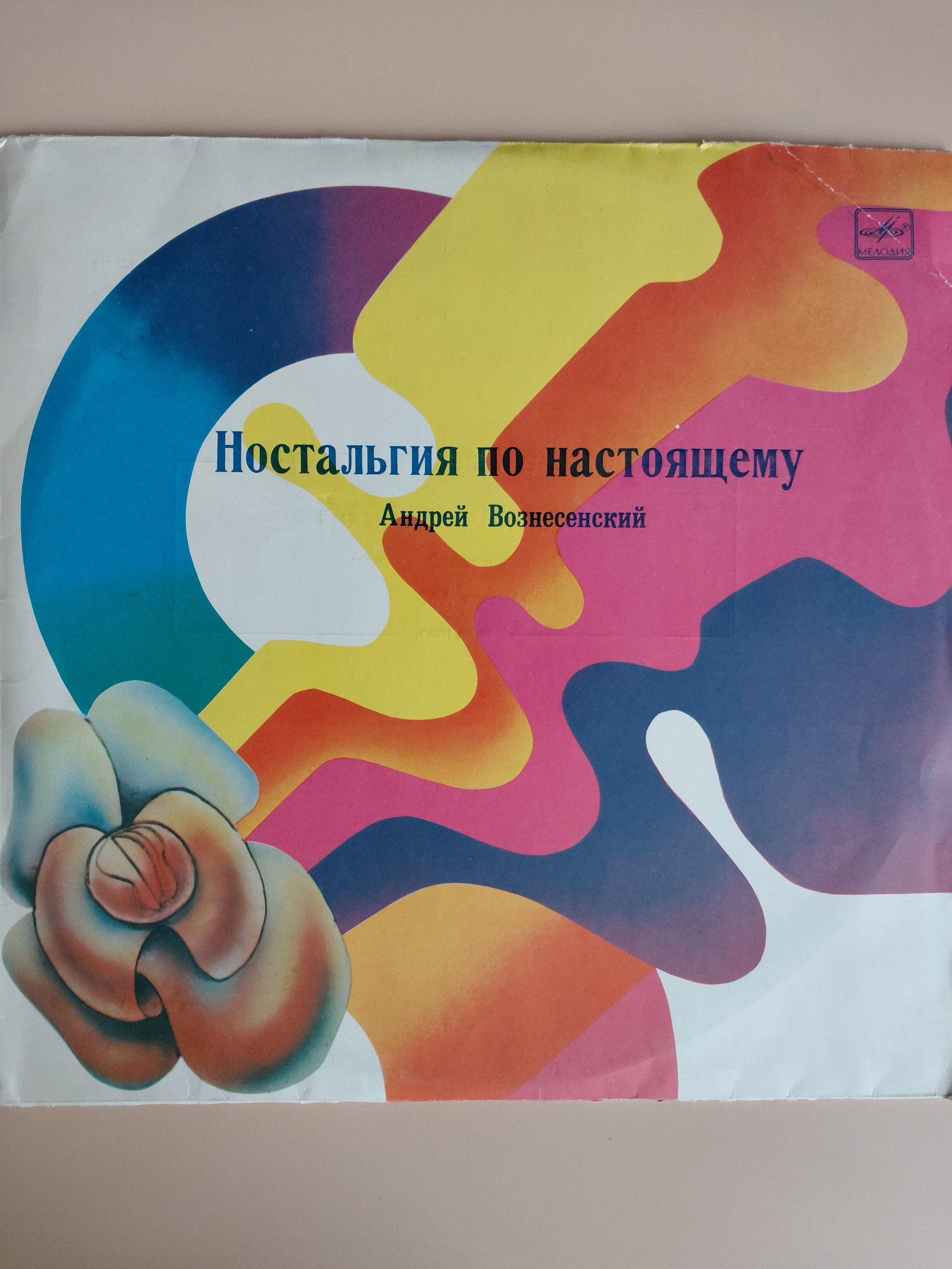 Картинка 1