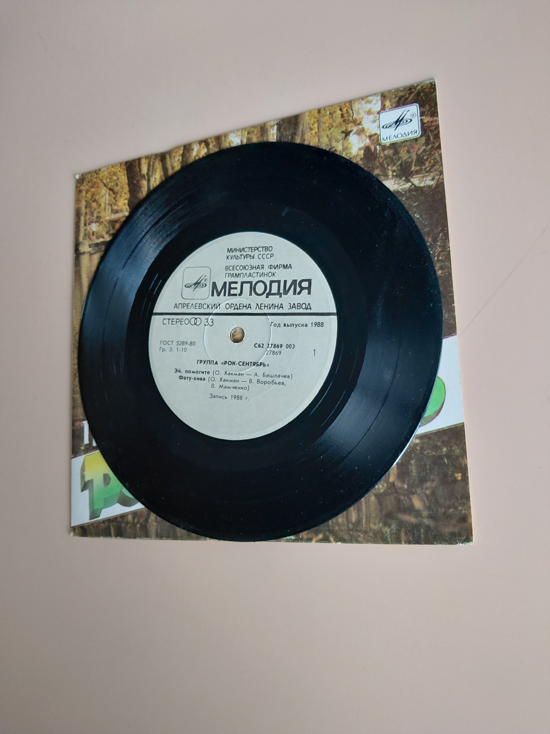 Картинка 4