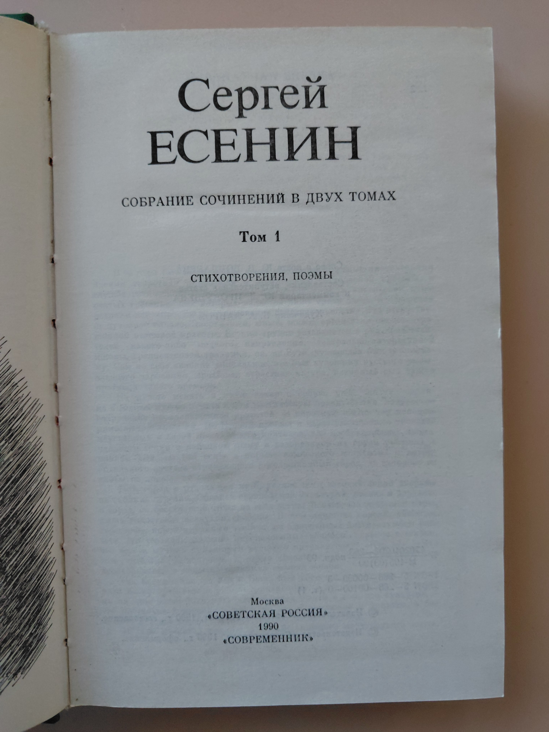 Картинка 2