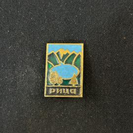 Значок Рица винтаж СССР