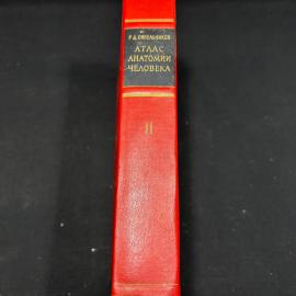 Картинка 7