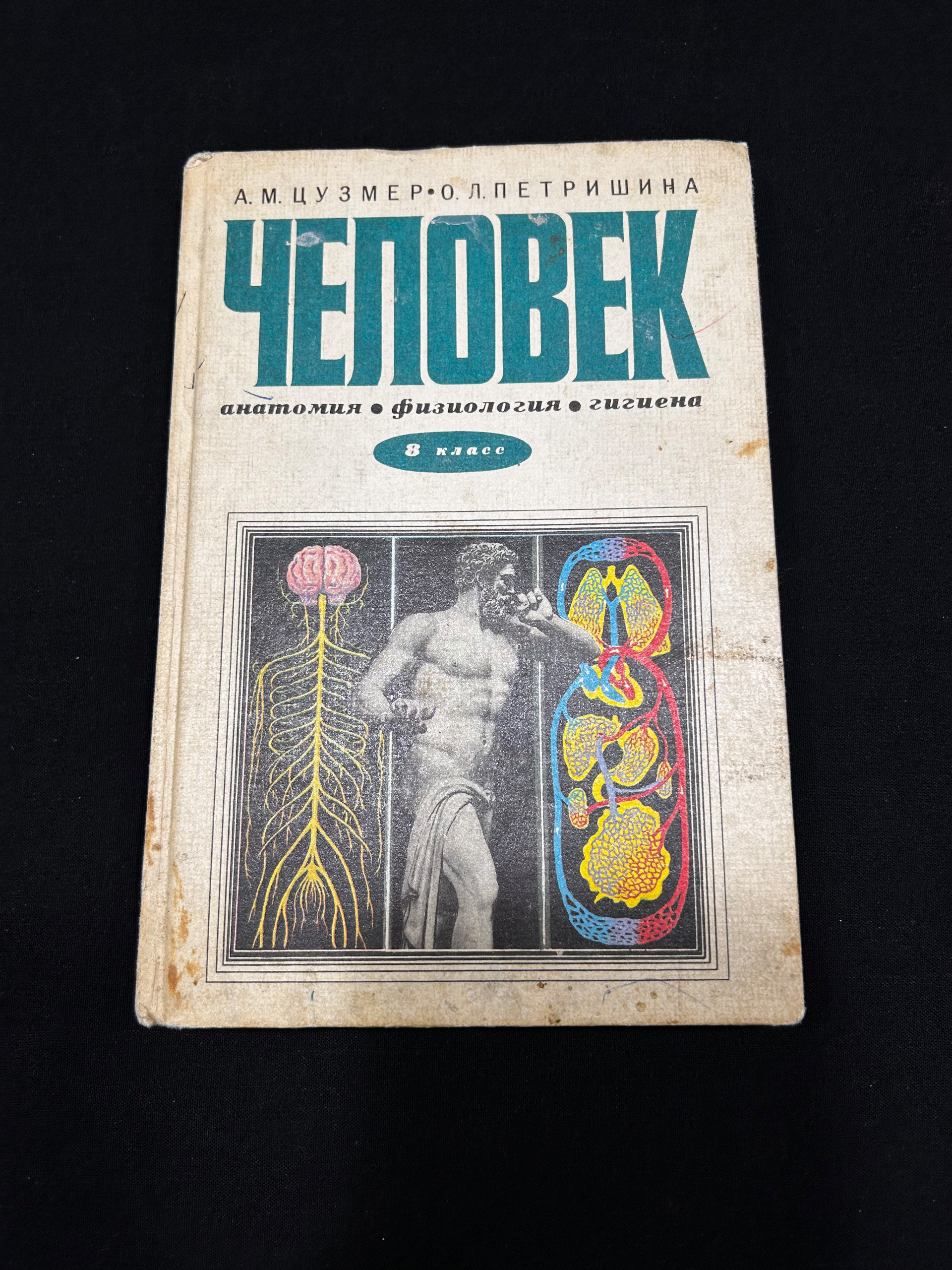 Картинка 1