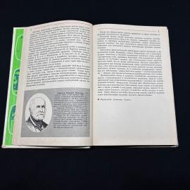 Картинка 5