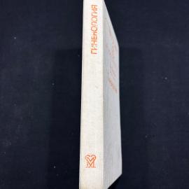 Картинка 3