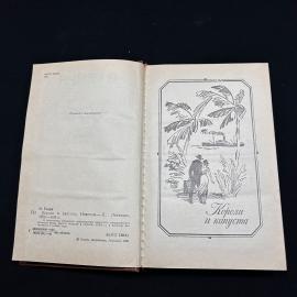 Картинка 5