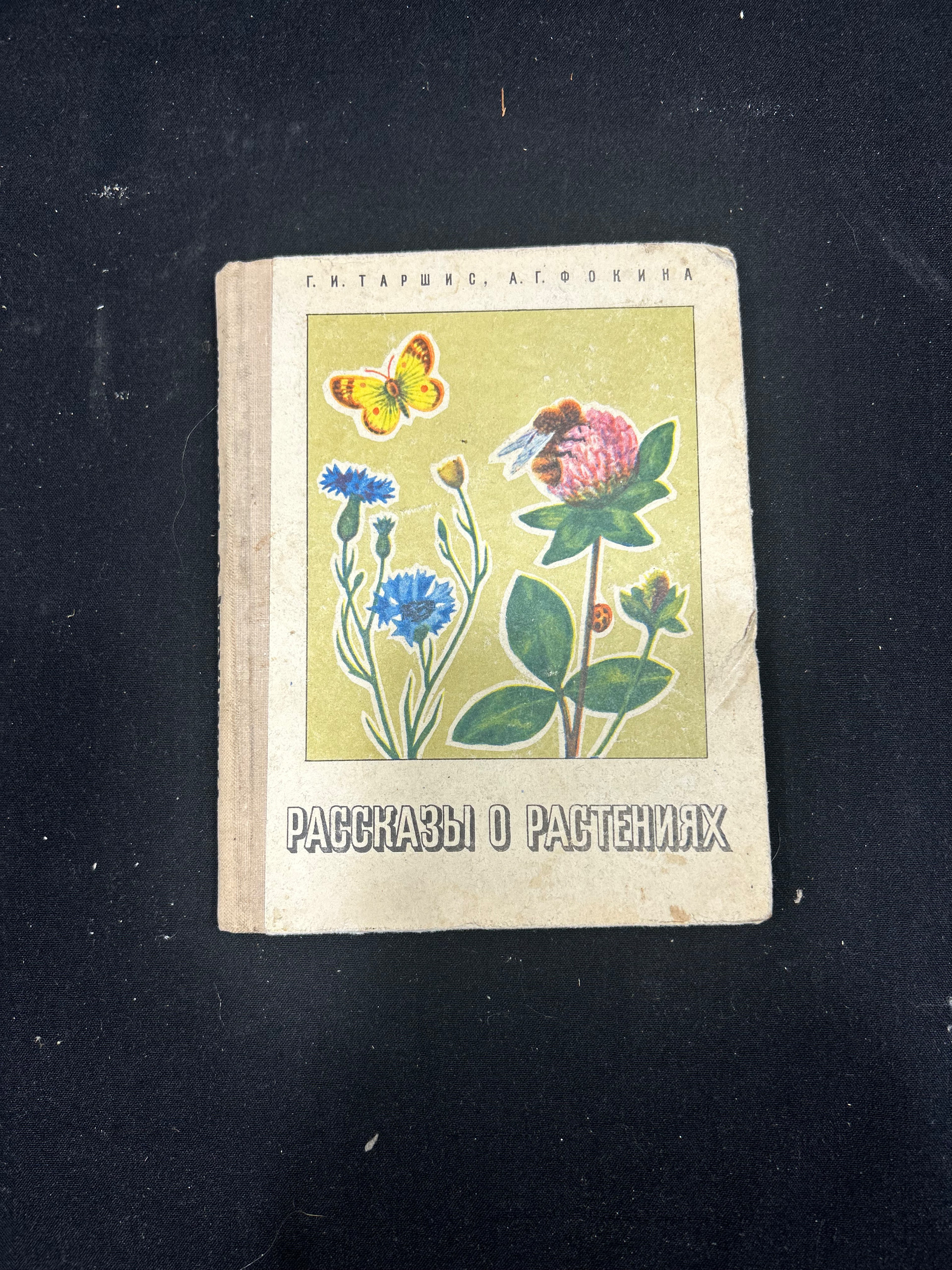 Картинка 1