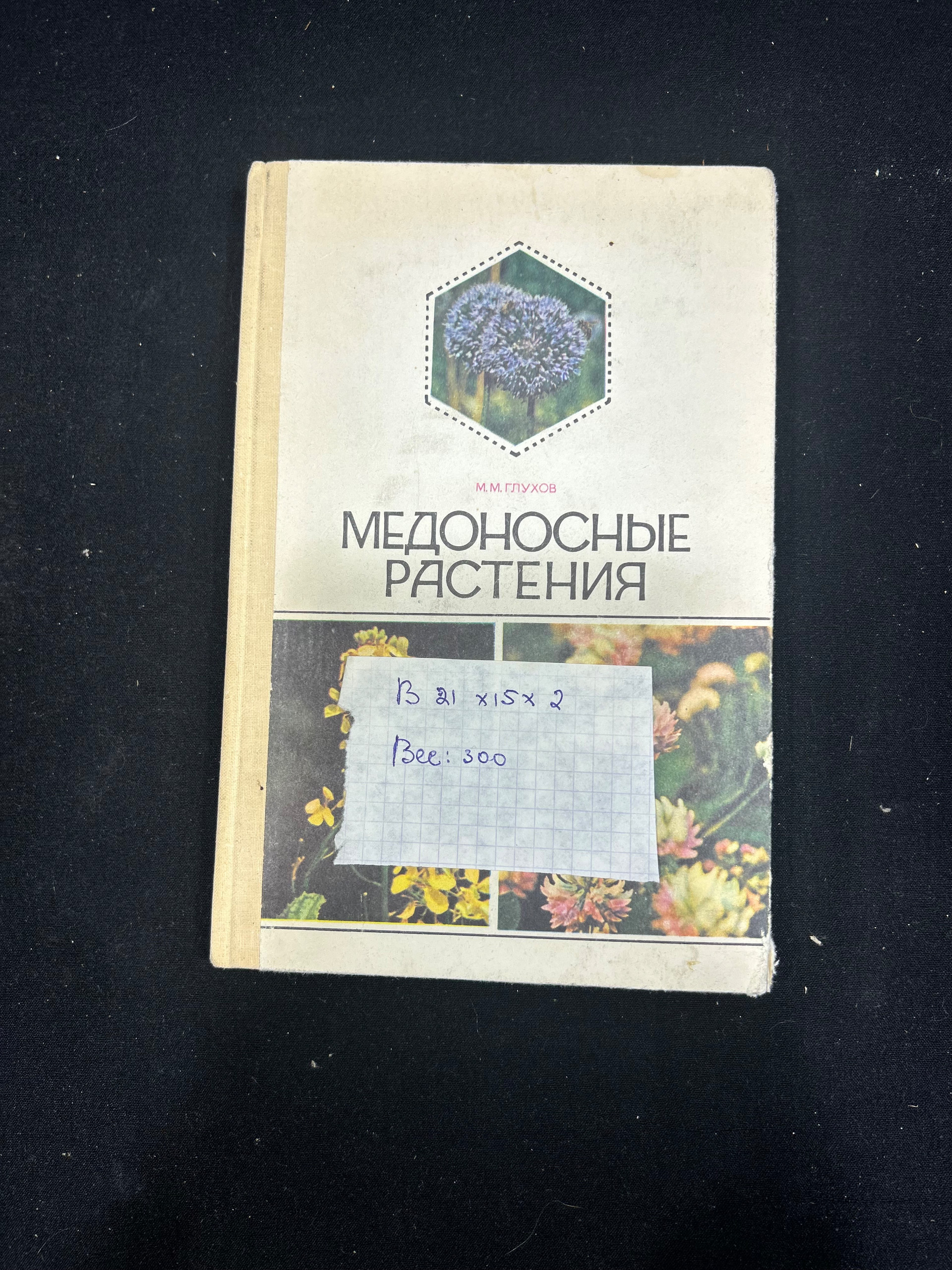 Картинка 2