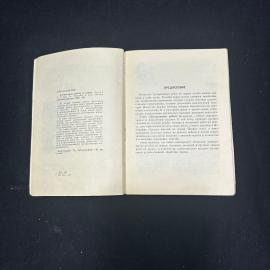 Картинка 6