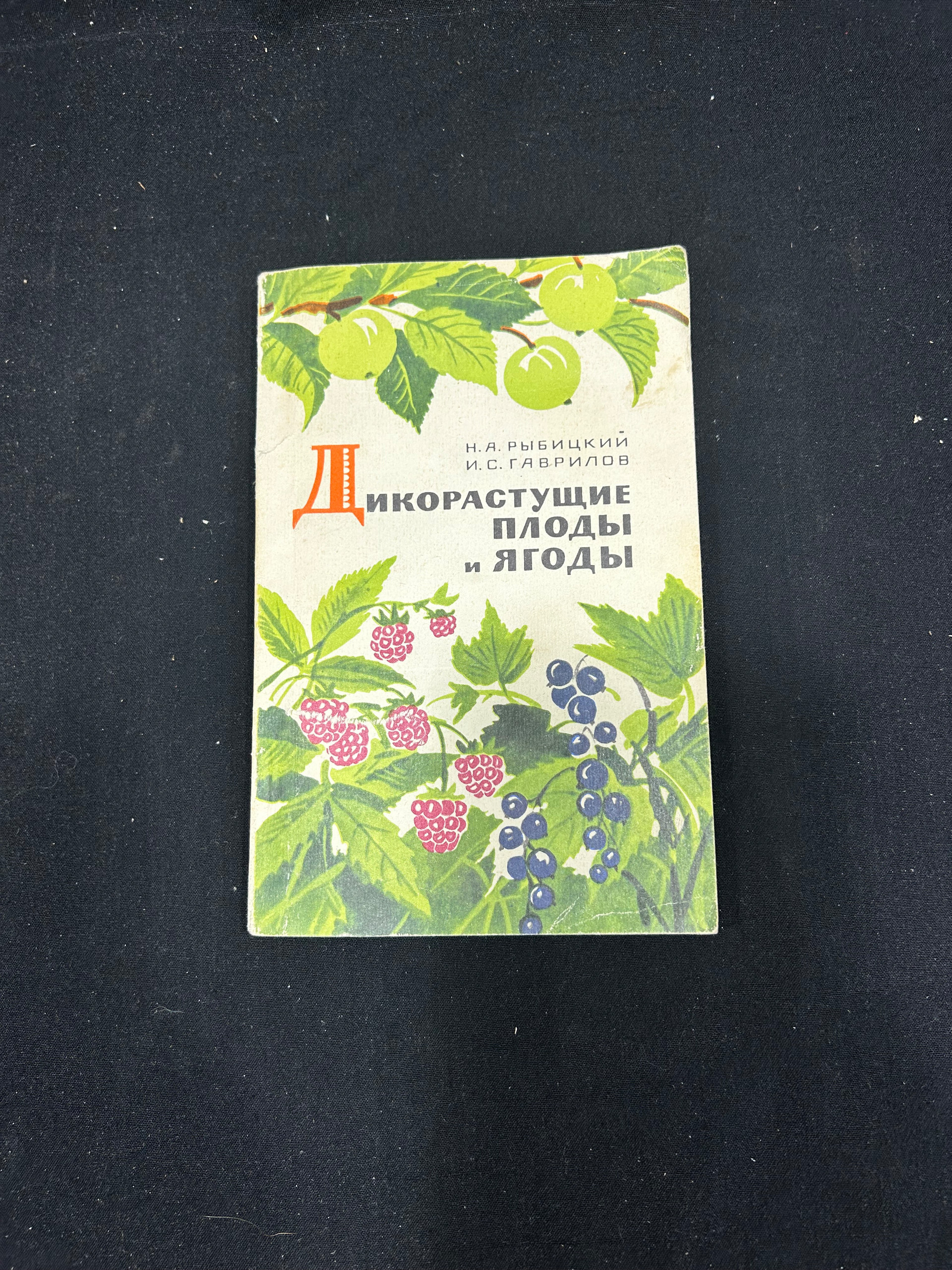 Картинка 1