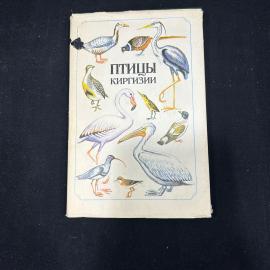 Шукуров. Птицы Киргизии. Фрунзе изд. Мектеп 1981г