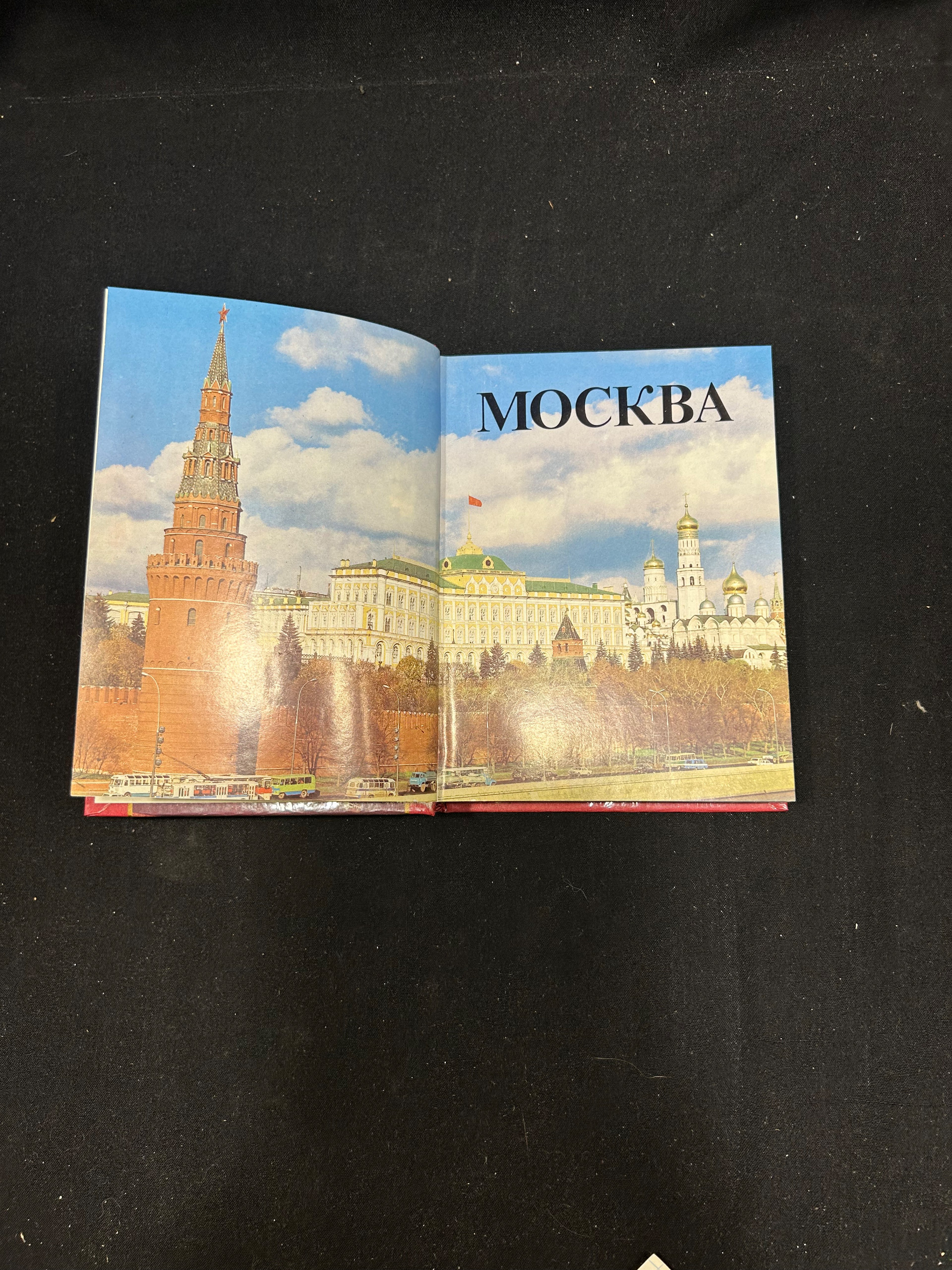 Картинка 7