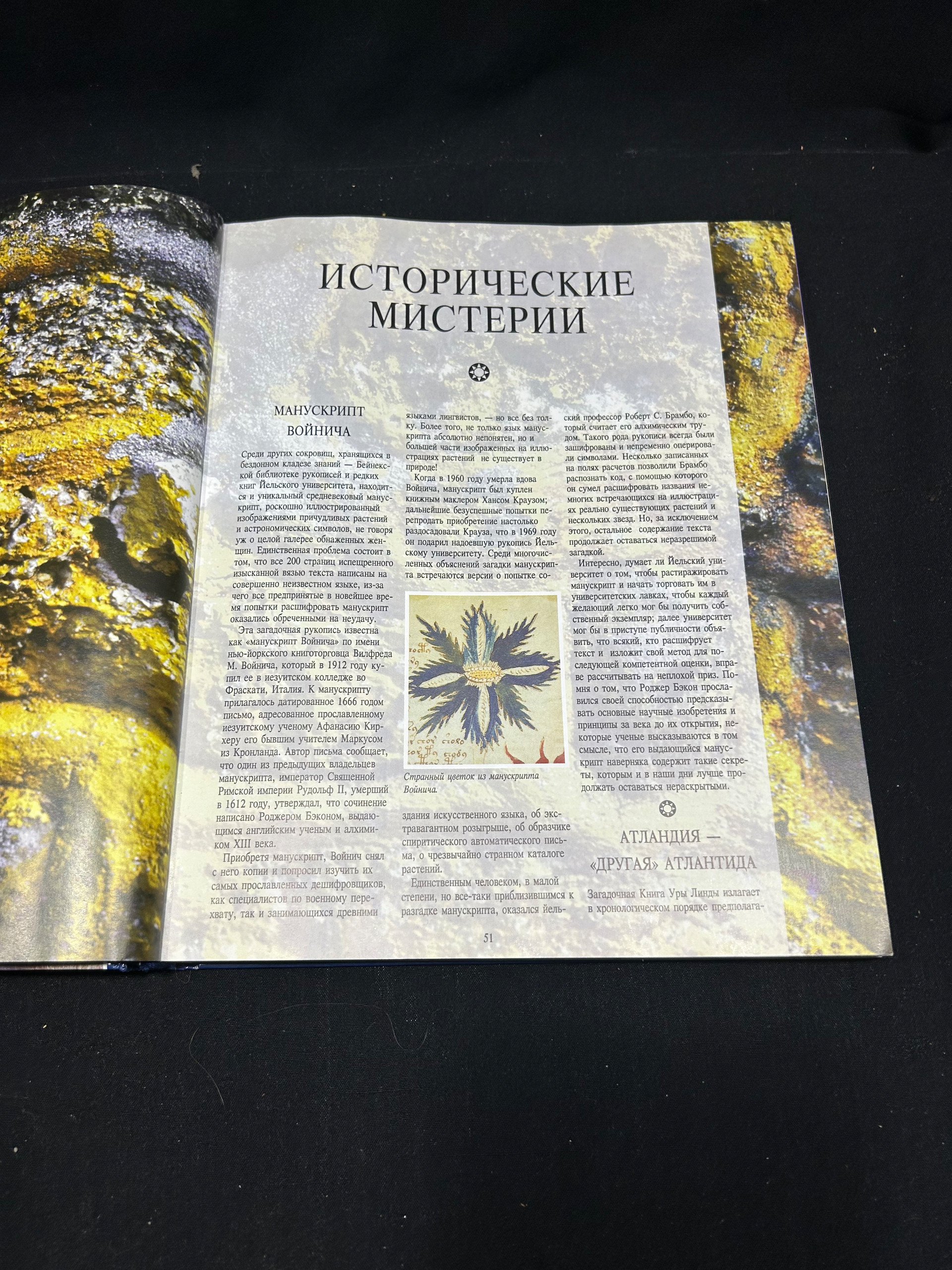 Картинка 4