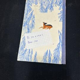 Картинка 2