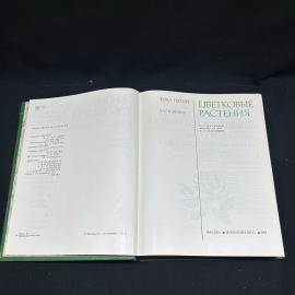 Картинка 5
