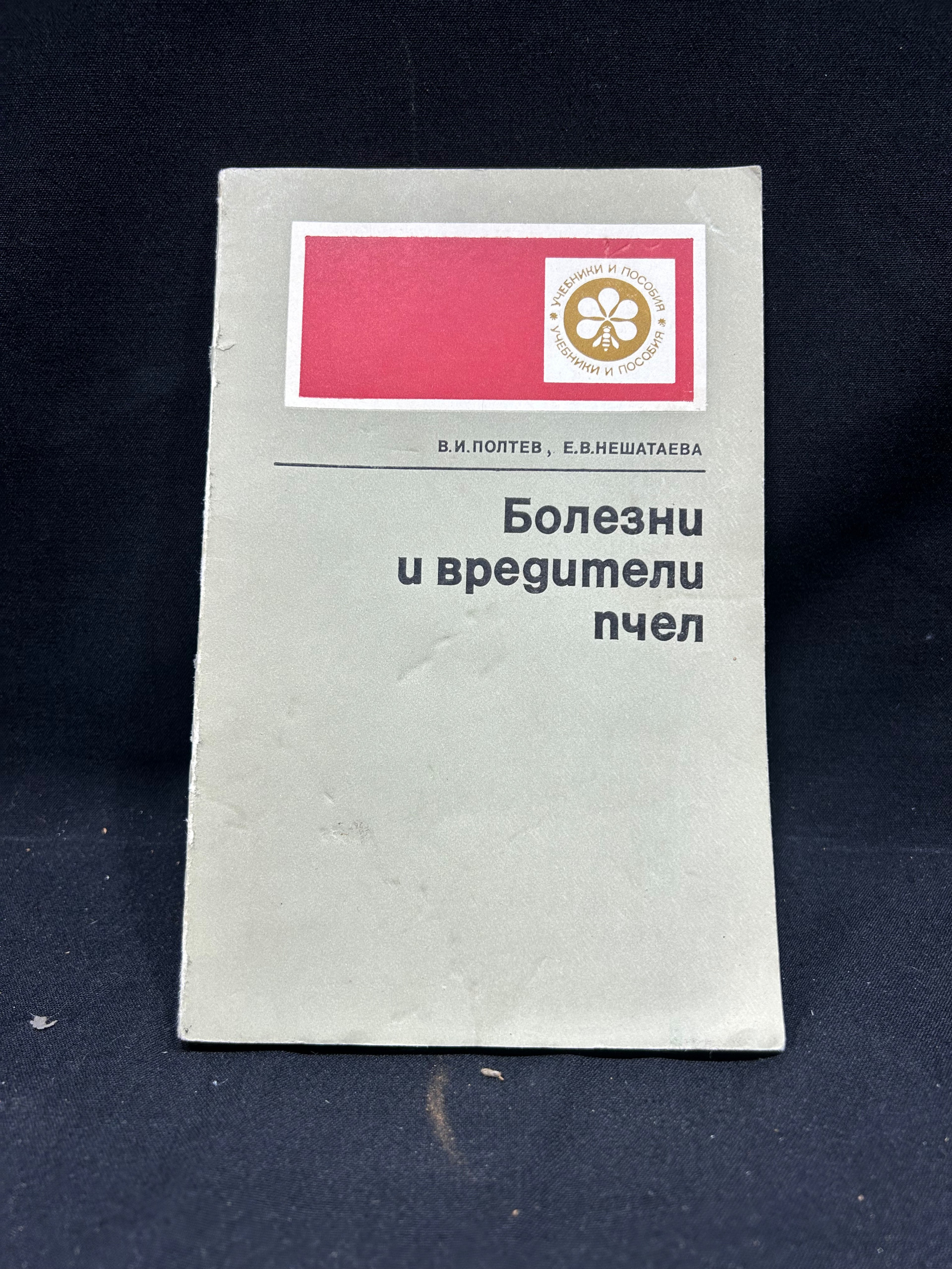 Картинка 1