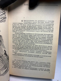 Картинка 4