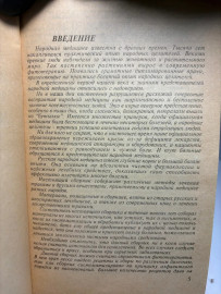 Картинка 5