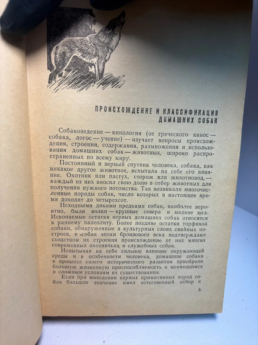 Картинка 2