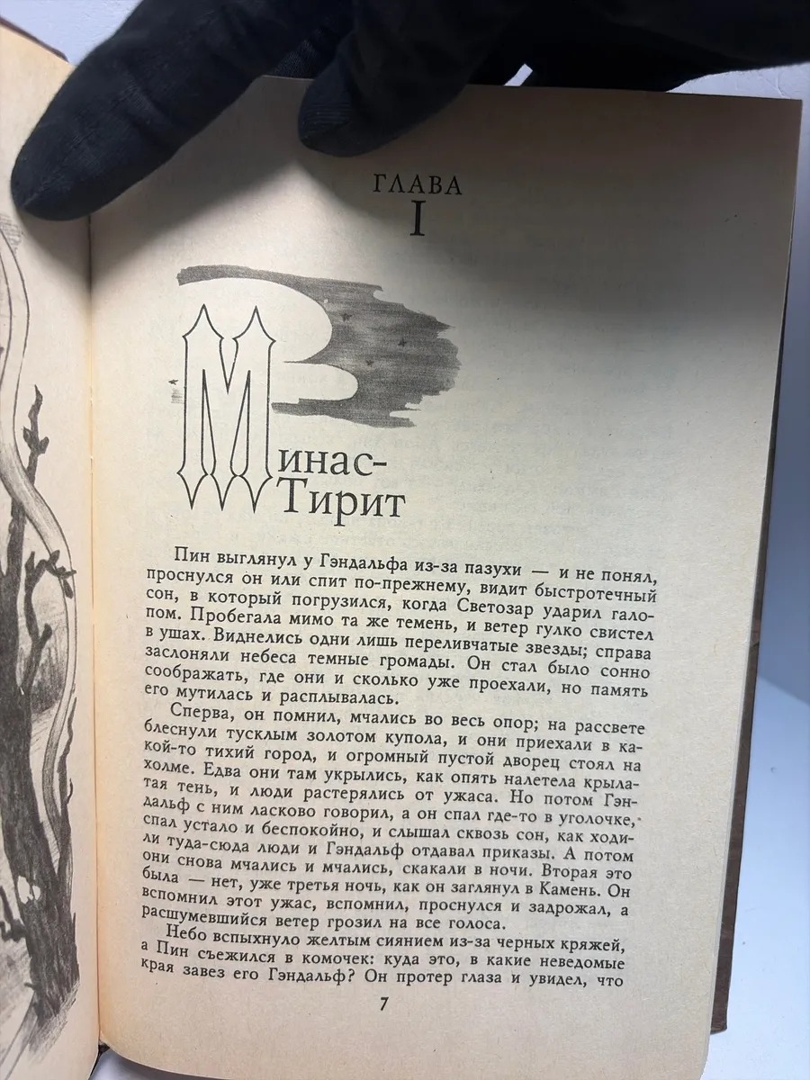 Картинка 5