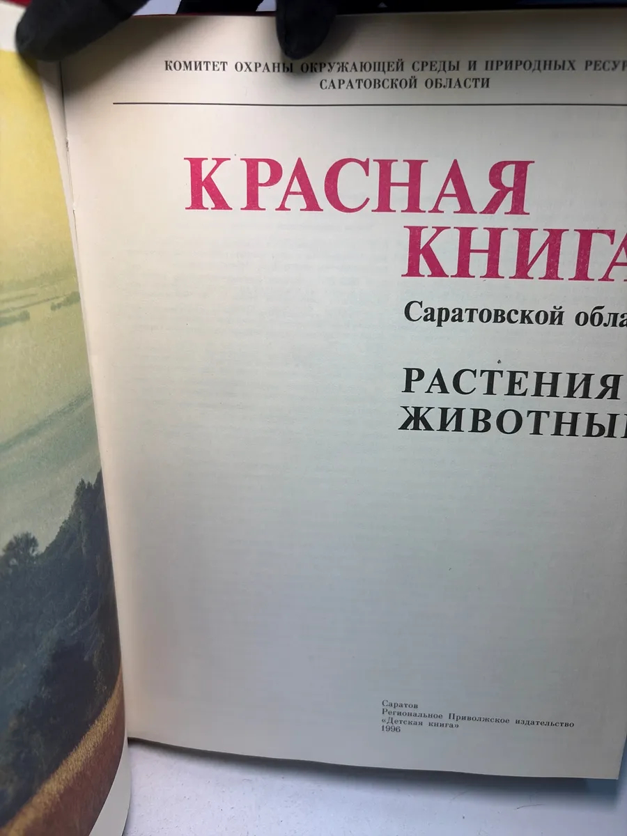 Картинка 2