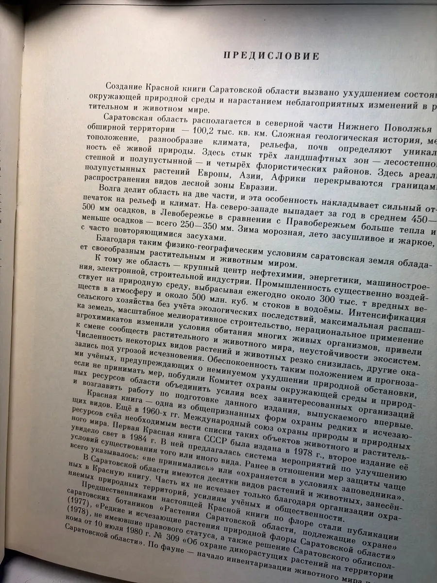 Картинка 4