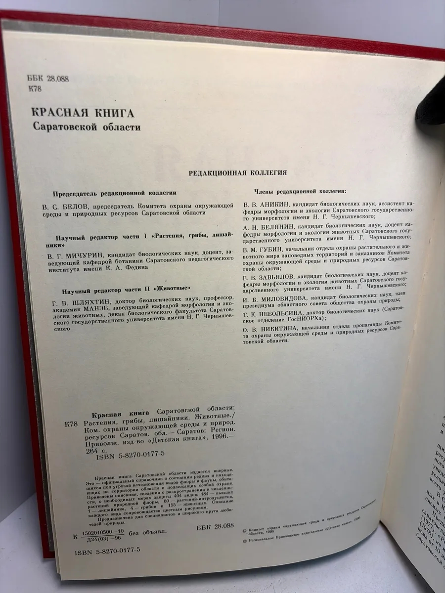 Картинка 6