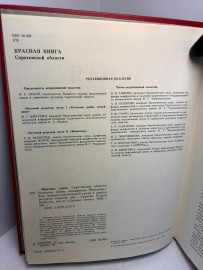 Картинка 6