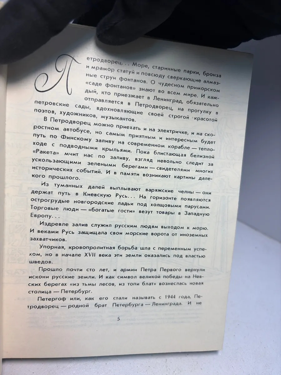 Картинка 2