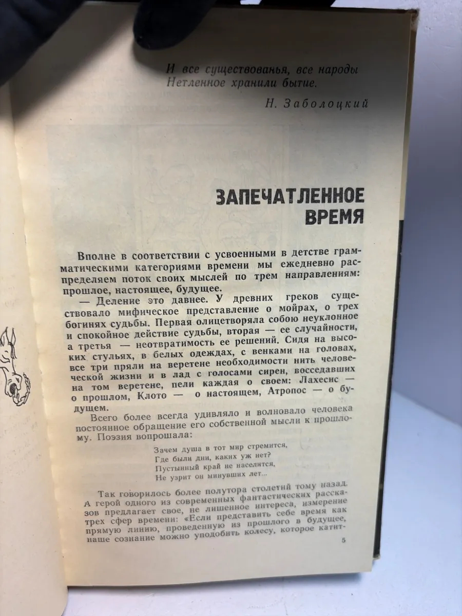 Картинка 2