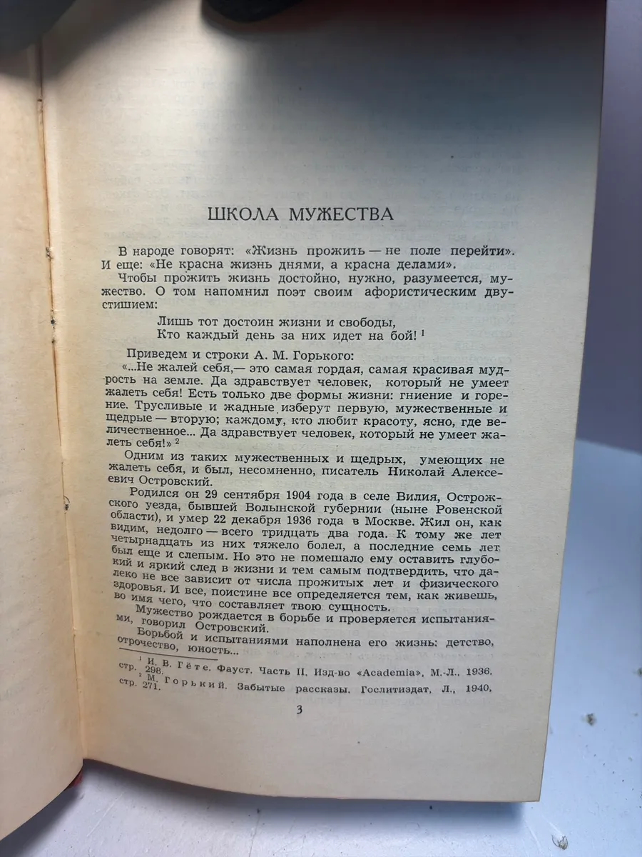 Картинка 5