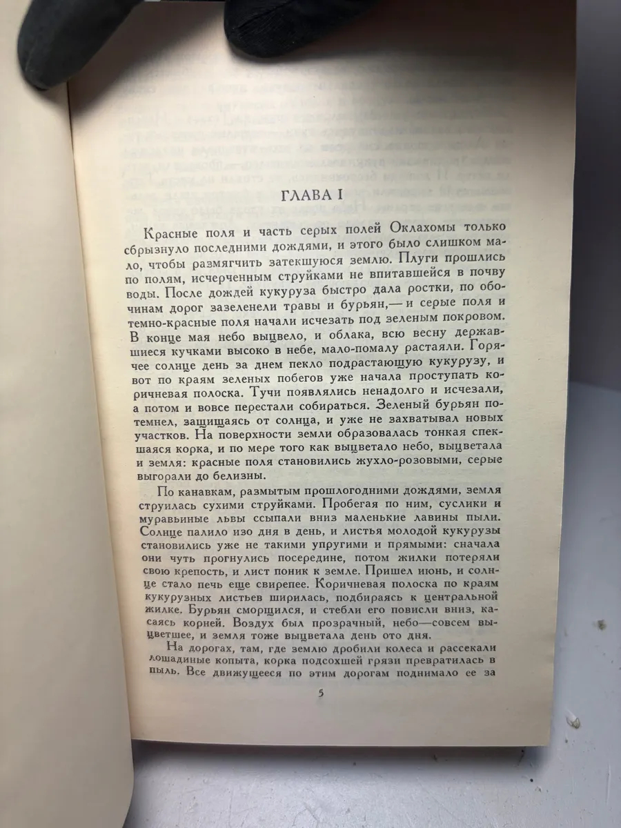 Картинка 3