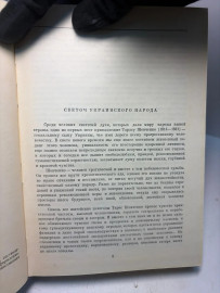 Картинка 4
