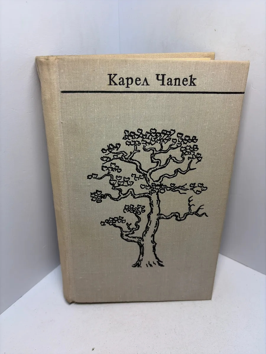 Картинка 1