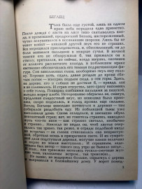 Картинка 4