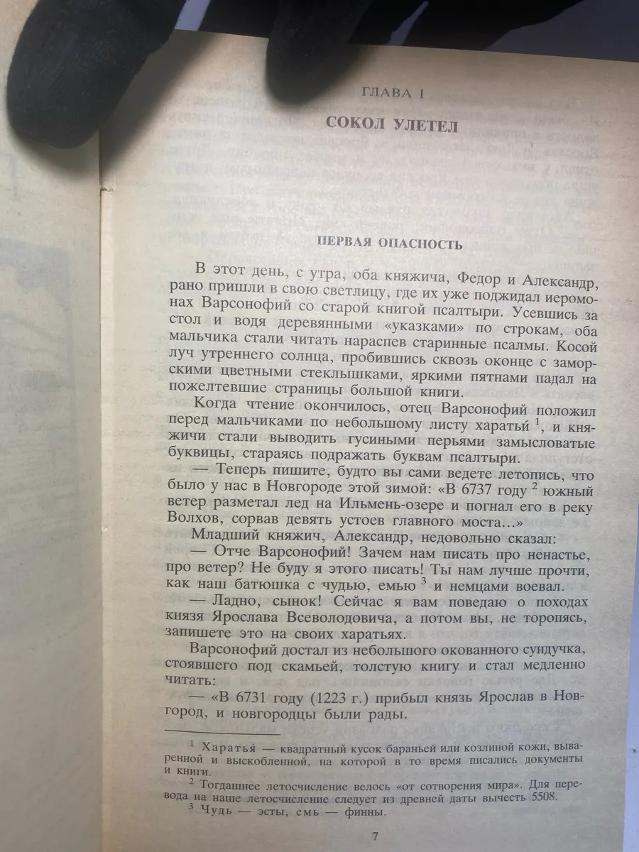 Картинка 6