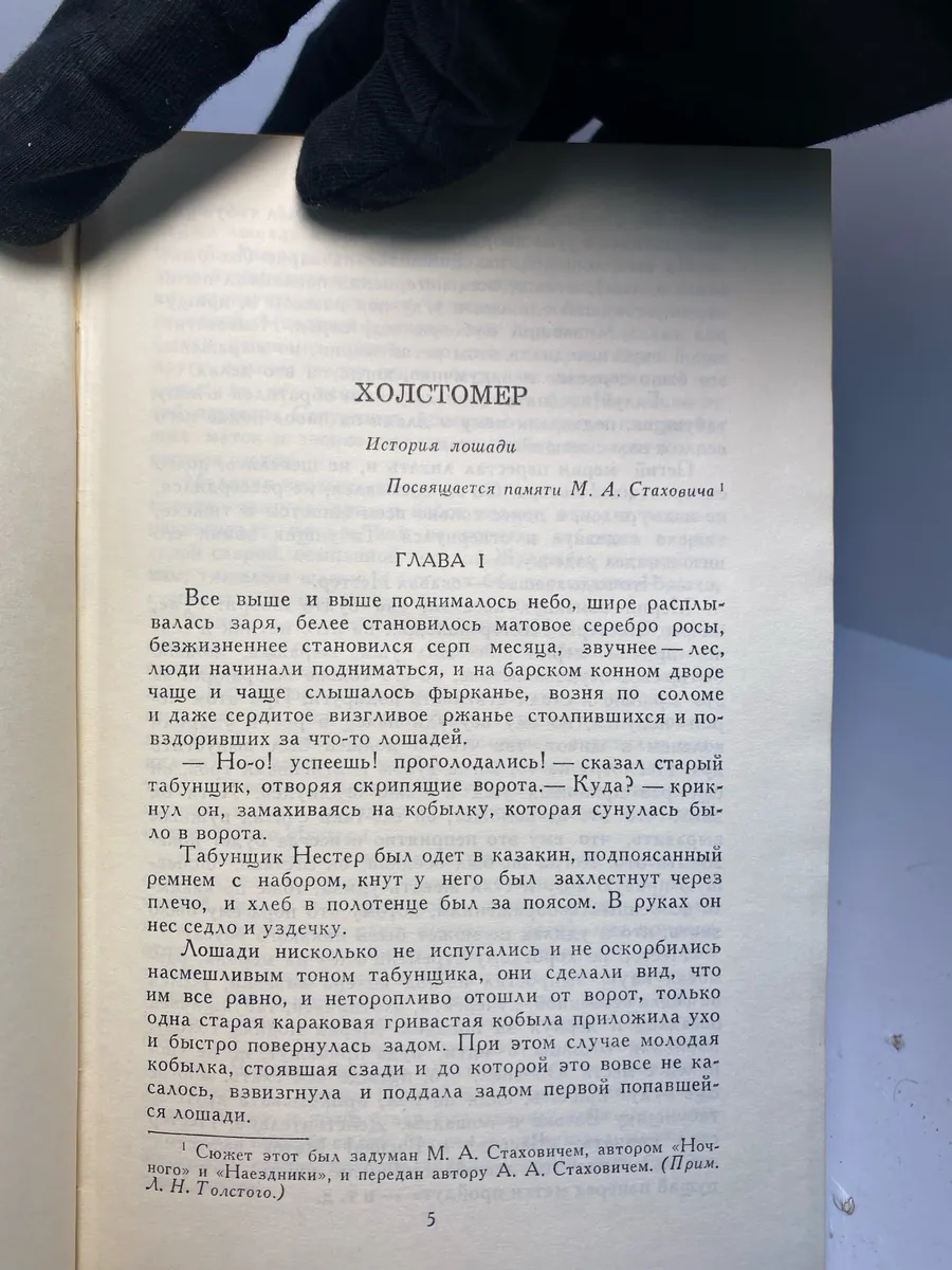 Картинка 4
