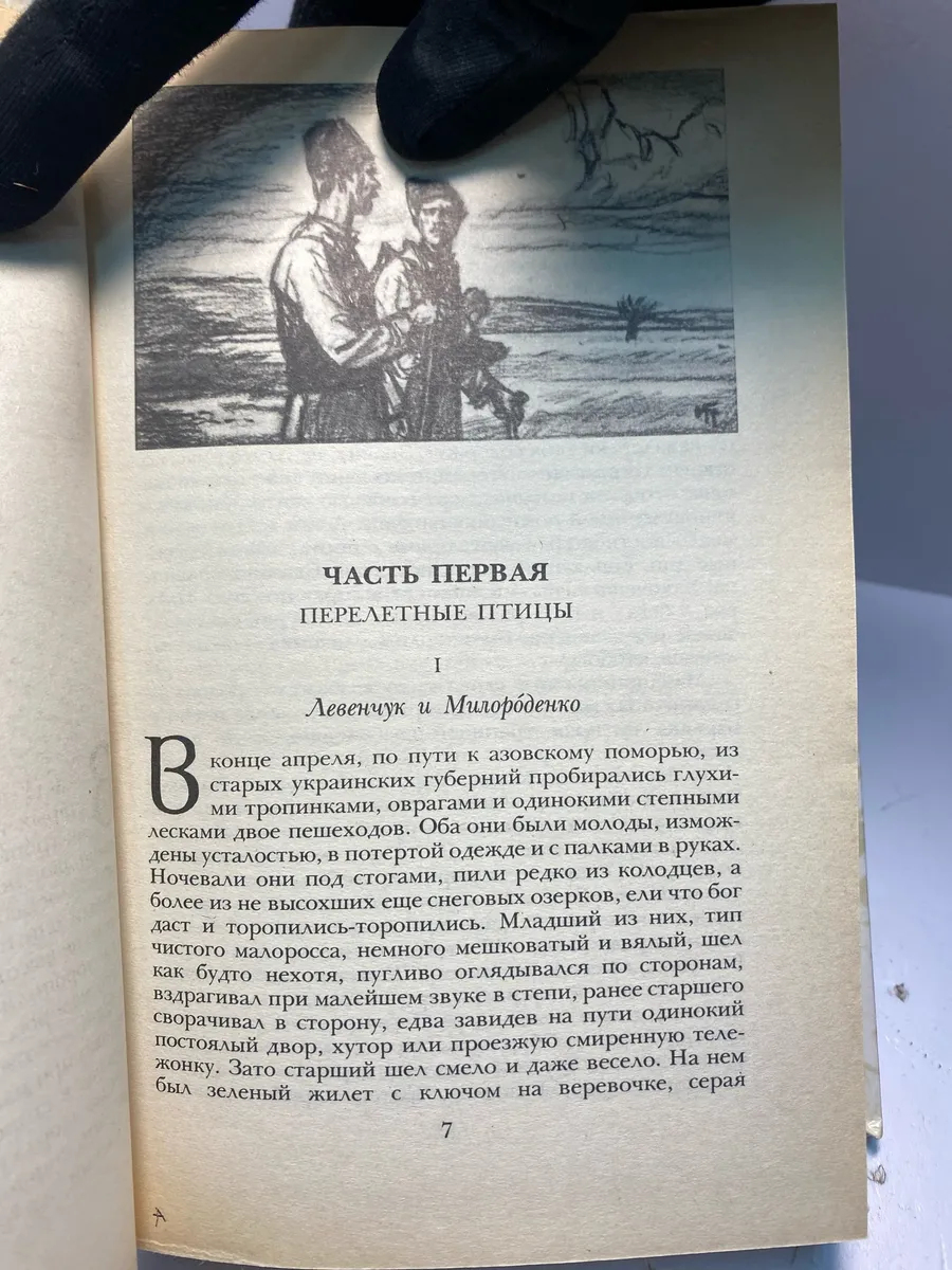 Картинка 3