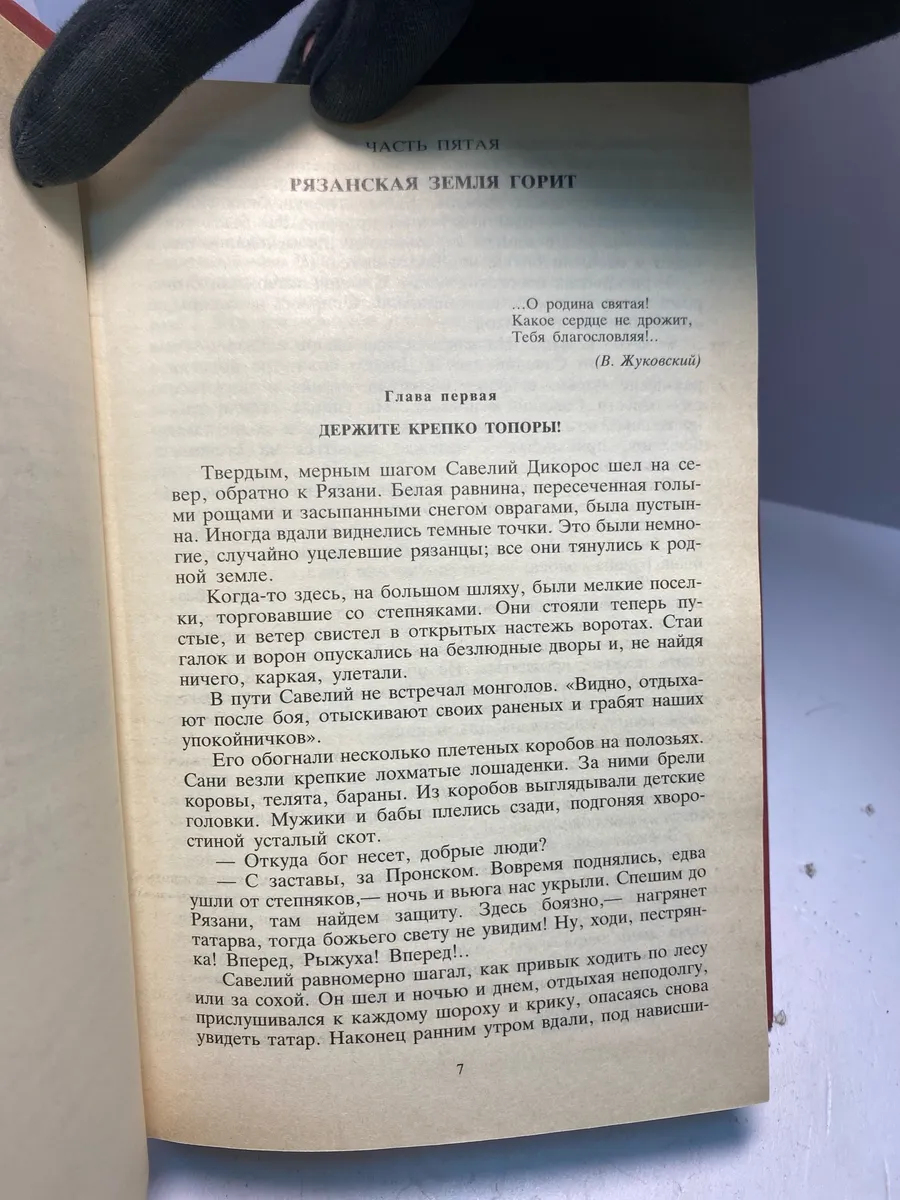 Картинка 3
