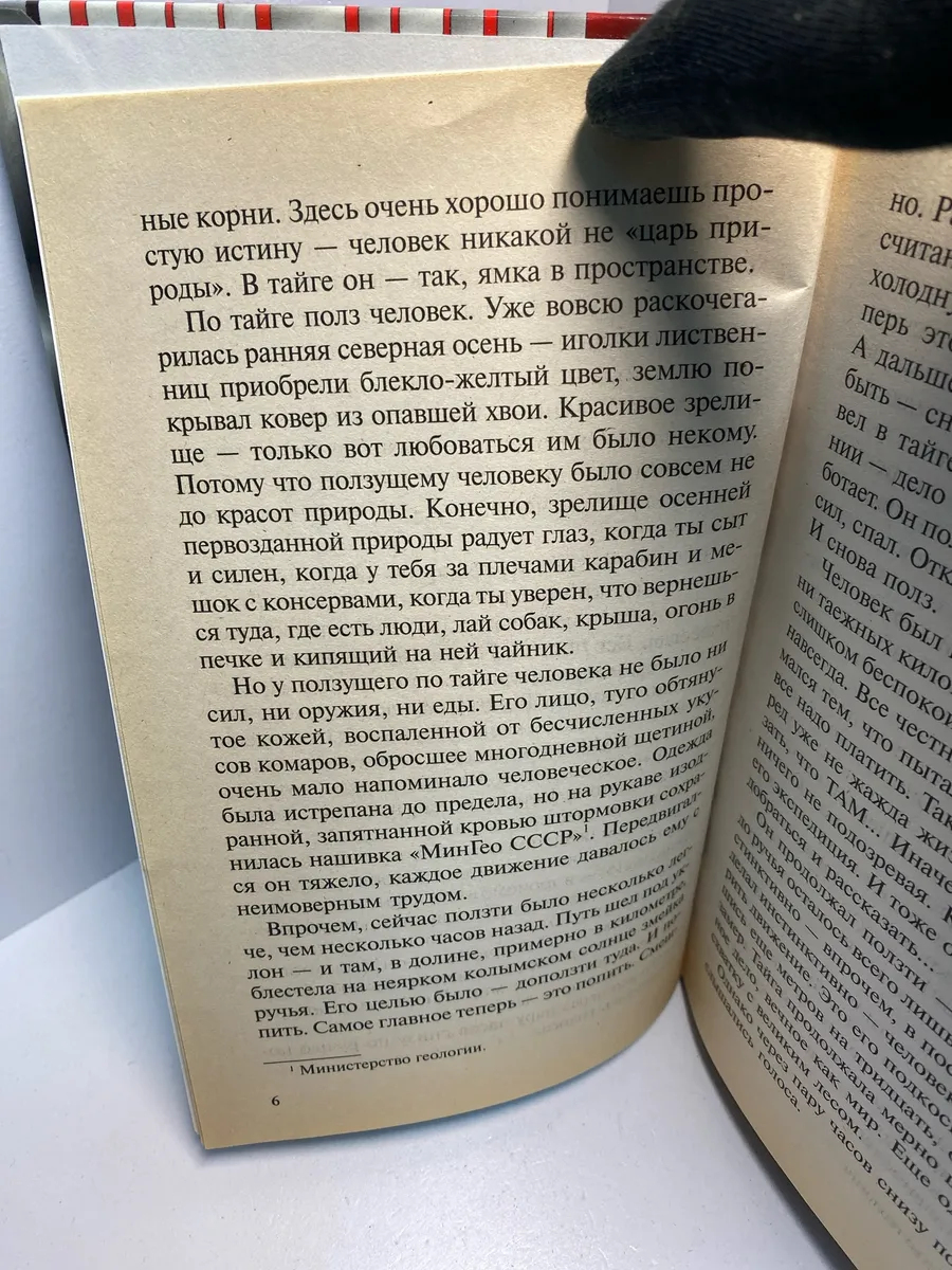 Картинка 4