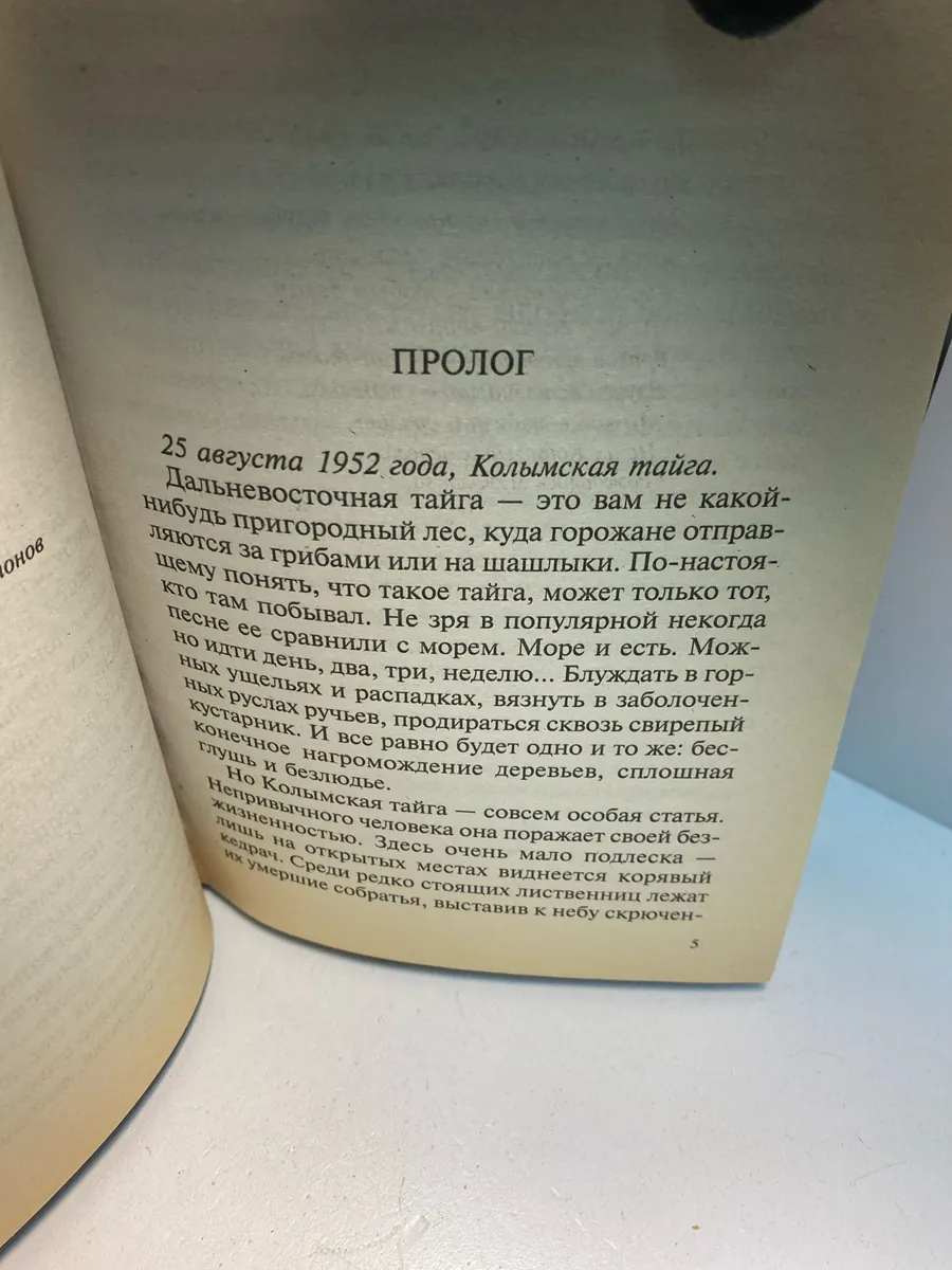 Картинка 6