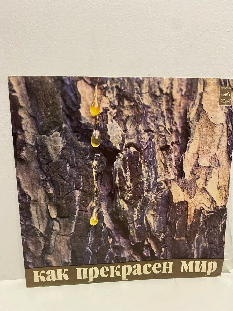 Картинка 1