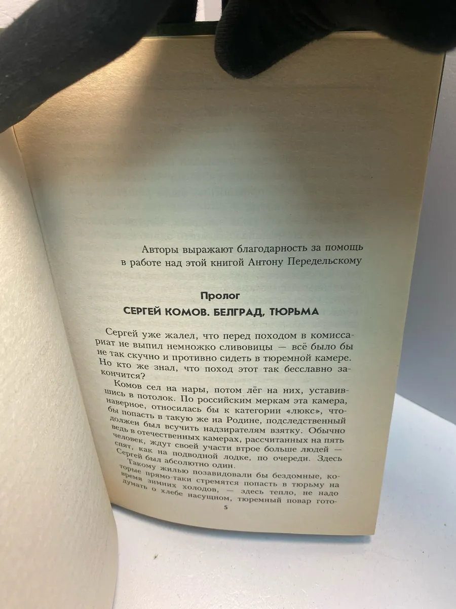 Картинка 5