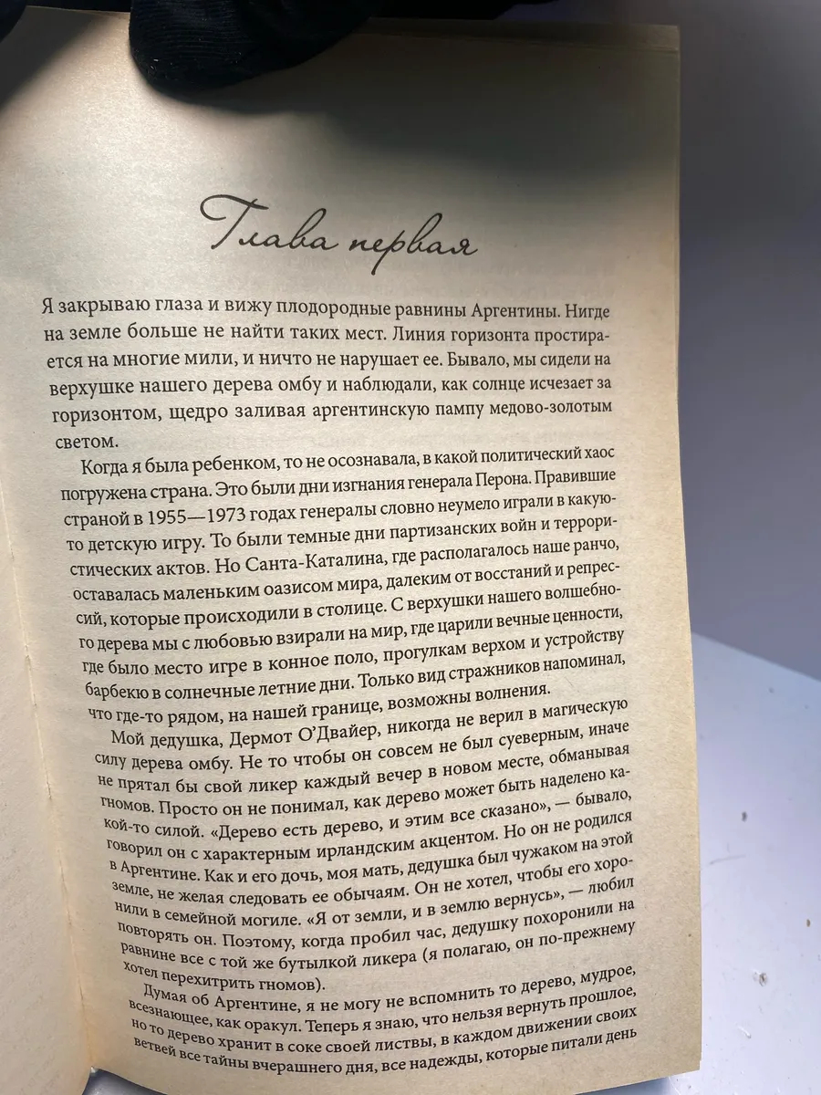 Картинка 5
